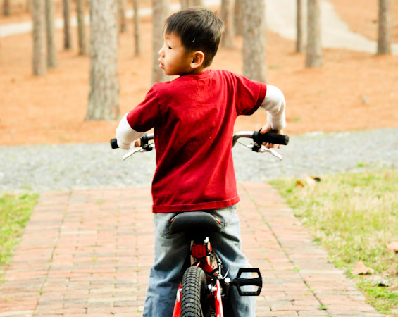 a boy and his bike
